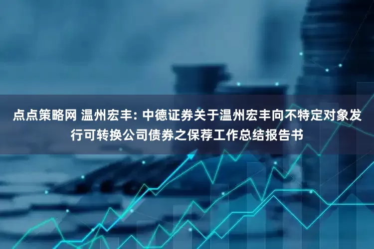 点点策略网 温州宏丰: 中德证券关于温州宏丰向不特定对象发行可转换公司债券之保荐工作总结报告书