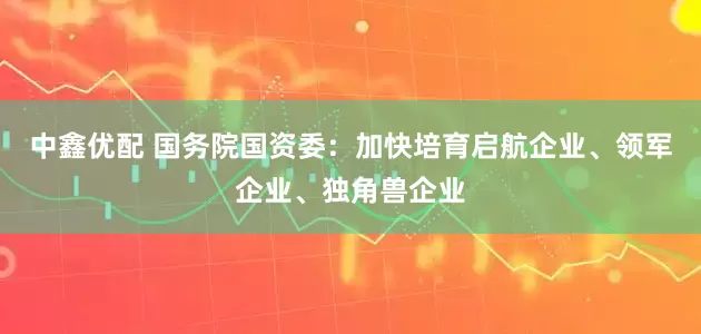 中鑫优配 国务院国资委：加快培育启航企业、领军企业、独角兽企业