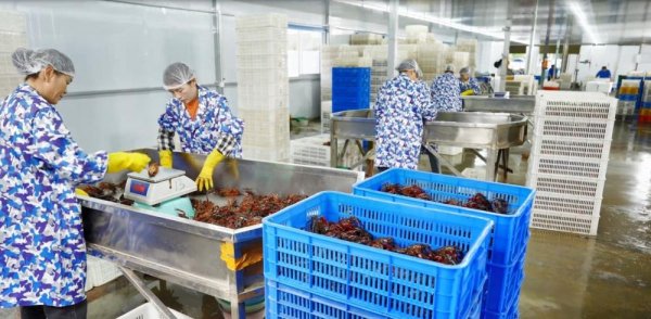 钱坛子 当电商大促回归本质，谁在为中小商家的成长“浇水”