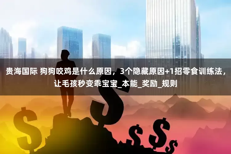 贵海国际 狗狗咬鸡是什么原因，3个隐藏原因+1招零食训练法，让毛孩秒变乖宝宝_本能_奖励_规则